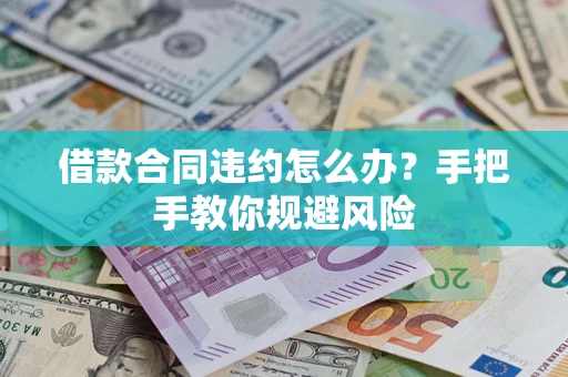 武汉借款合同违约怎么办？手把手教你规避风险