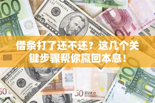 武汉借条打了还不还？这几个关键步骤帮你赢回本息！