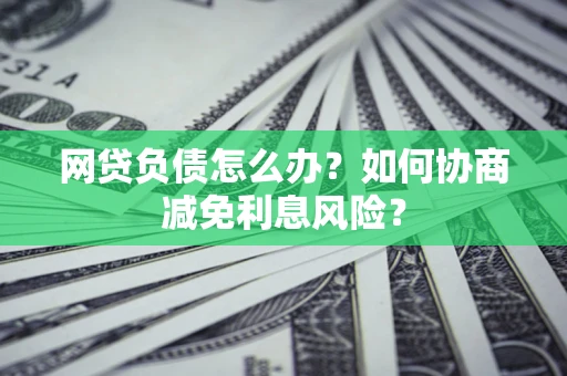 武汉网贷负债怎么办？如何协商减免利息风险？
