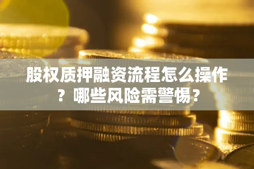 武汉股权质押融资流程怎么操作？哪些风险需警惕？