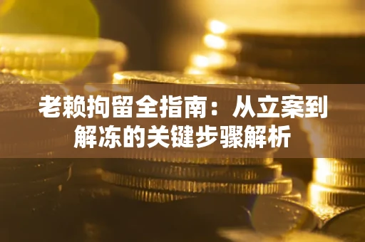 武汉老赖拘留全指南：从立案到解冻的关键步骤解析
