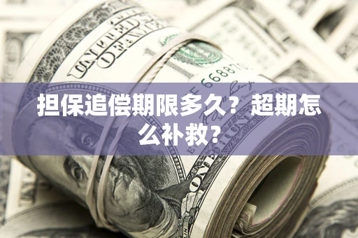 武汉担保追偿期限多久？超期怎么补救？