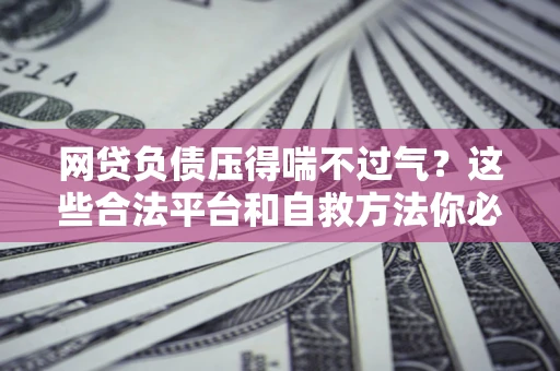 武汉网贷负债压得喘不过气？这些合法平台和自救方法你必须知道！