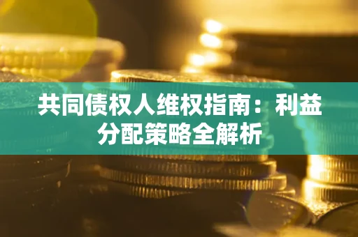 武汉共同债权人维权指南：利益分配策略全解析