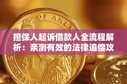 武汉担保人起诉借款人全流程解析：亲测有效的法律追偿攻略