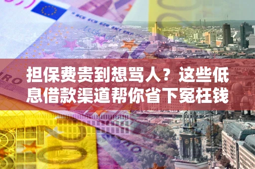 武汉担保费贵到想骂人？这些低息借款渠道帮你省下冤枉钱