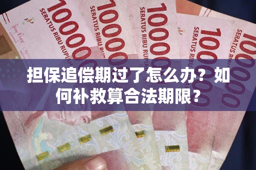 武汉担保追偿期过了怎么办？如何补救算合法期限？