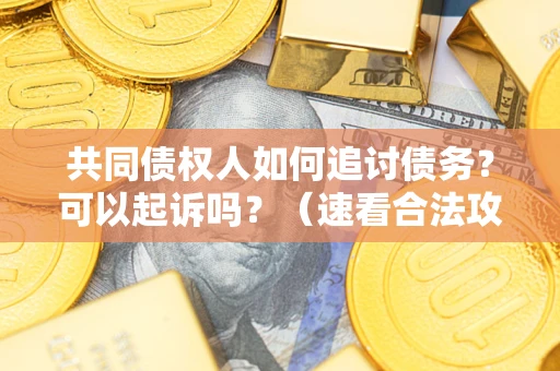 武汉共同债权人如何追讨债务？可以起诉吗？（速看合法攻略）