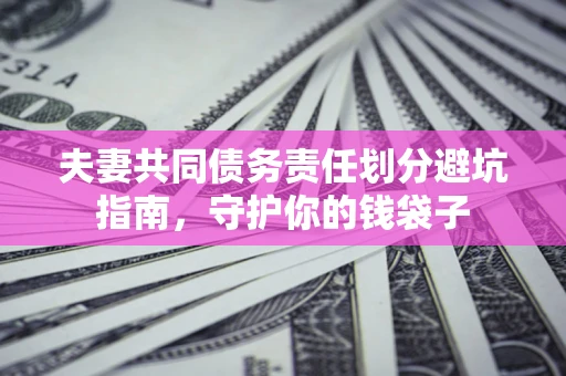 武汉夫妻共同债务责任划分避坑指南，守护你的钱袋子