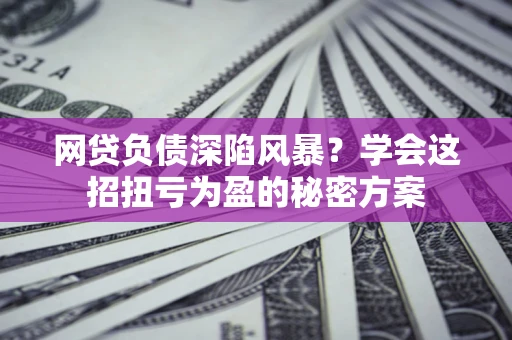 武汉网贷负债深陷风暴？学会这招扭亏为盈的秘密方案