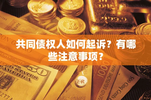 武汉共同债权人如何起诉？有哪些注意事项？